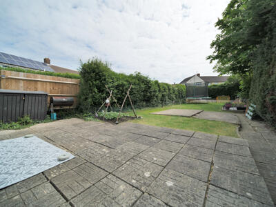 Picture 16